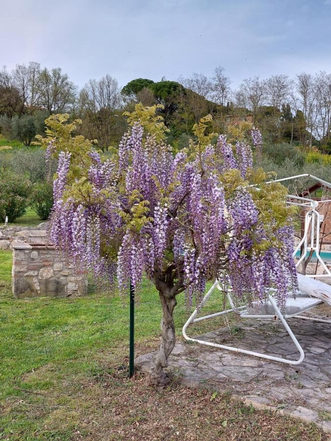 Agriturismo Camera Rosa Todi Kültér fotó